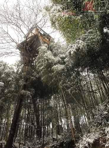 老農(nóng)15米高樹上建木屋 網(wǎng)友擔(dān)心被強(qiáng)拆(組圖) 
