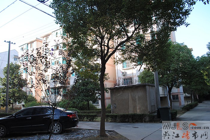 X教師新村