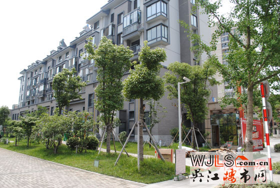 點(diǎn)擊圖片放大 實景2
