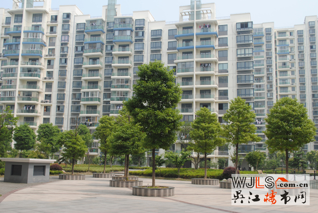 點(diǎn)擊圖片放大 實(shí)景4