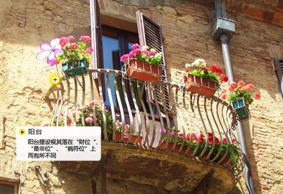 兔年開運家居風(fēng)水 玄學(xué)大師教你擺出2011好兆頭