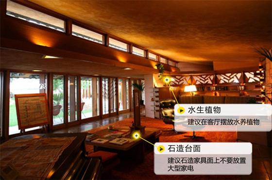 兔年開(kāi)運(yùn)家居風(fēng)水 玄學(xué)大師教你擺出2011好兆頭