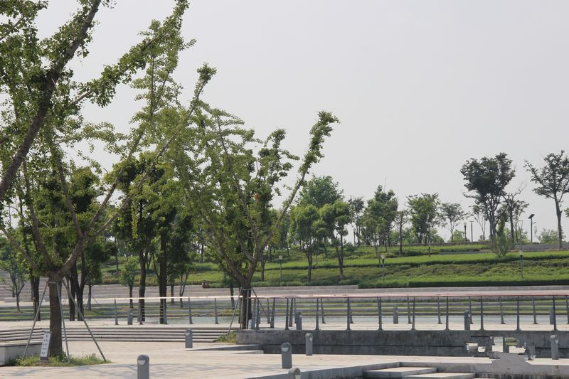點(diǎn)擊圖片放大 項(xiàng)目北10米處東太湖生態(tài)公園