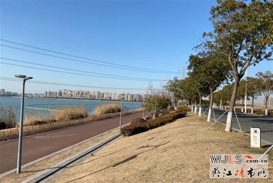 四號線花港路站周邊項目介紹