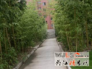 小區(qū)圖