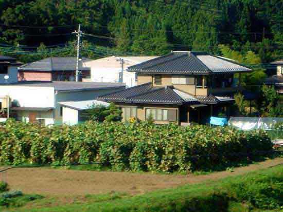 絕對真實！看看日本的“社會底層”農(nóng)村住房